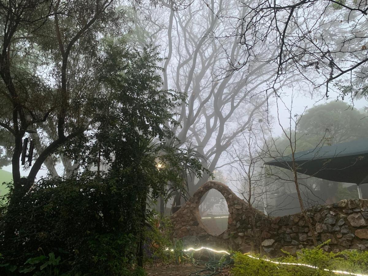 יוהנסבורג Rabbit Hole Hotel מראה חיצוני תמונה